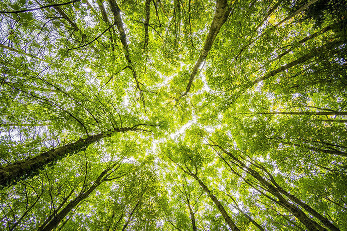 Environnement EDAC